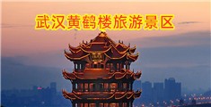 百度猛插嫰比