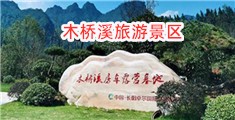 强插美女逼逼视频